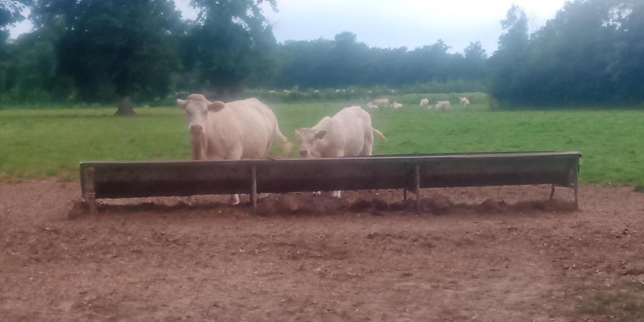 La Cabane Montipouret Kültér fotó